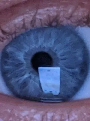 Highfiver Profile image 1